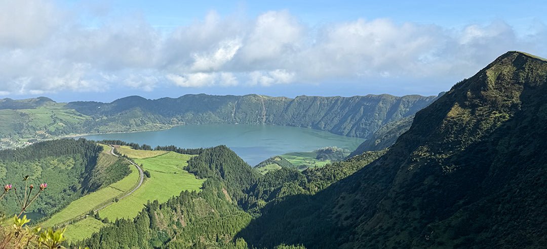Azores City - Zandra Stone