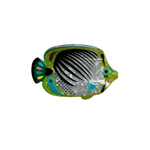 FISHY HAIR CLAW CLIP - Zandra Stone