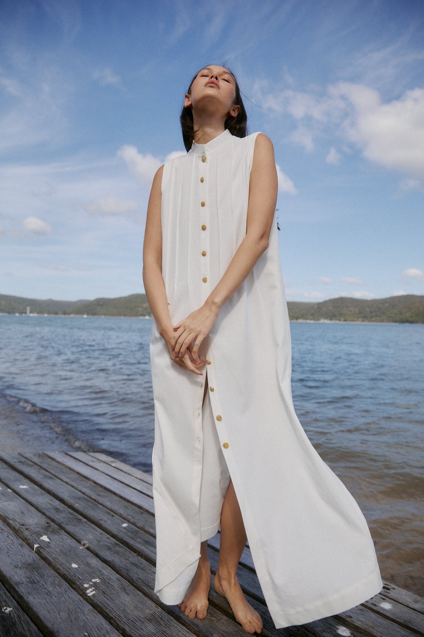 Mari Pleated fronted dress - Zandra Stone