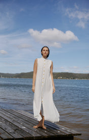 Mari Pleated fronted dress - Zandra Stone