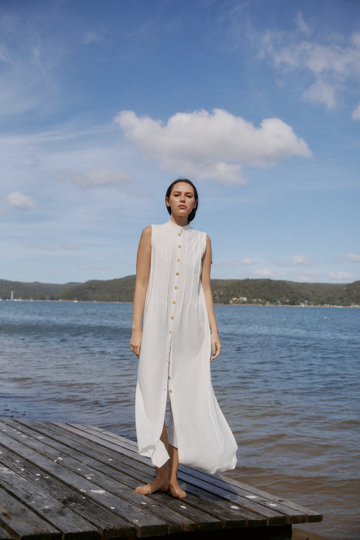 Mari Pleated fronted dress - Zandra Stone