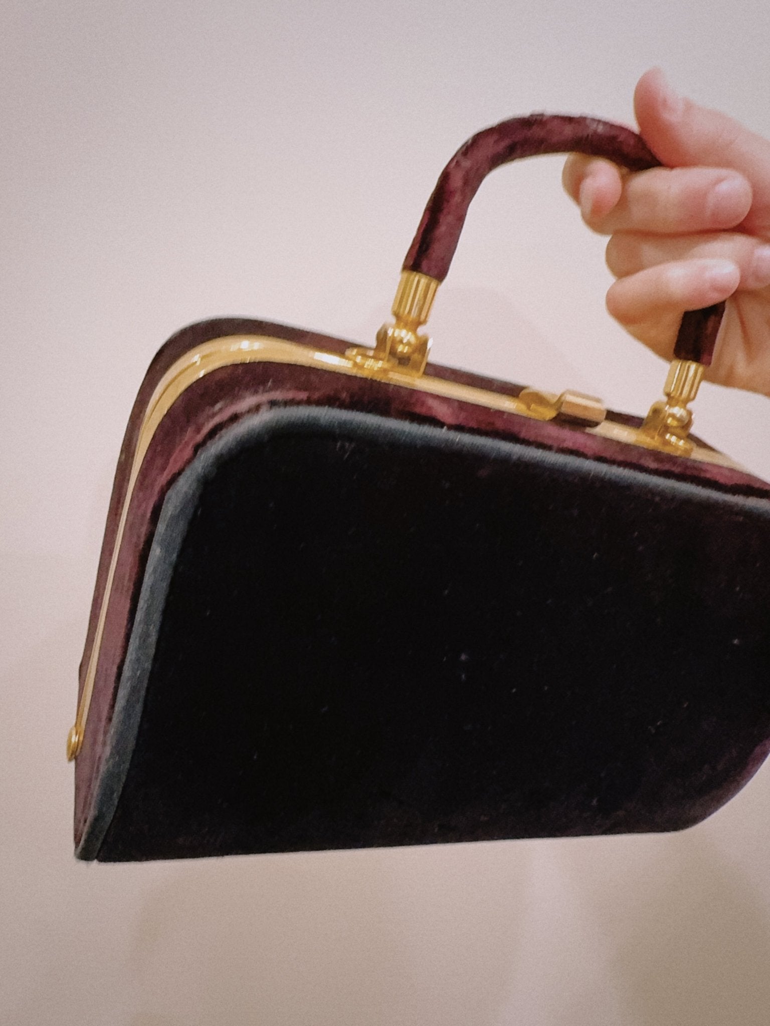 Velvet Brown Bag - Zandra Stone